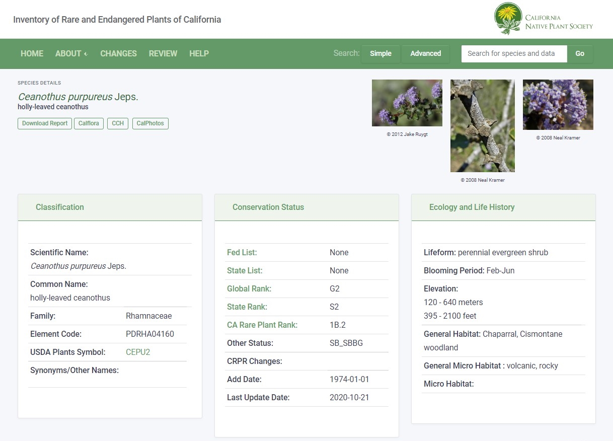 Species Details Page Example